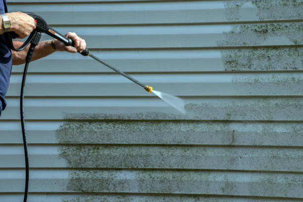 Best Patio and Deck Pressure Washing  in Gladeview, FL