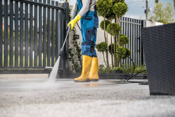 Best House Exterior Washing  in Gladeview, FL